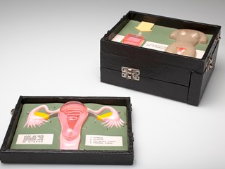 Hinged black case that opens into 3-dimensional coloured plastic model. Pieces of the model can be lifted out for demonstration.