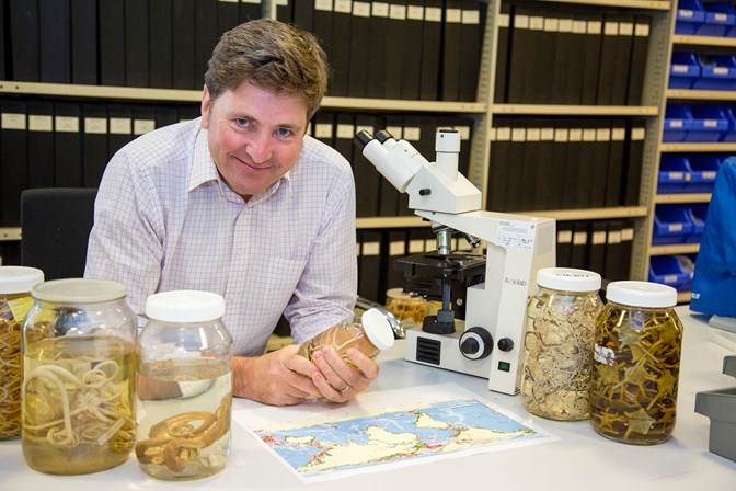 Dr. Tim O'Hara in Marine Vertebrate research laboratory holding a specimen jar containing Brittle Stars.