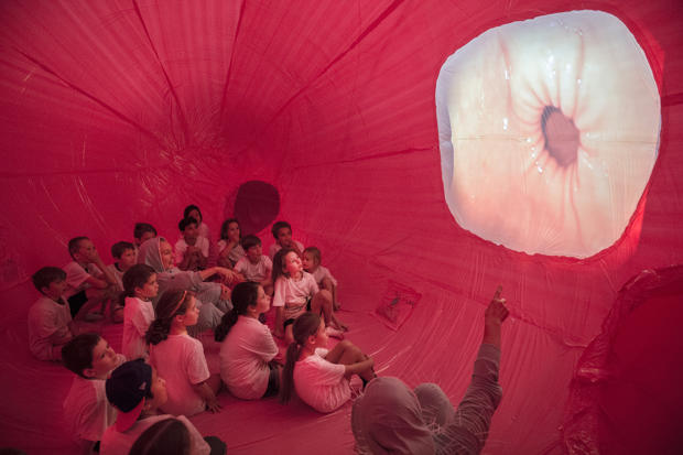 Born in a Taxi's Gut Feelings experience.