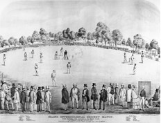 Drawing of a cricket match