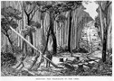 Engraving: "Erecting the telegraph to the Omeo", from The Australasian Sketcher, 30 August 1879, p. 85