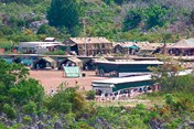 Nauru detention centre, 2001 - a makeshift-looking camp surrounded by scrubby jungle