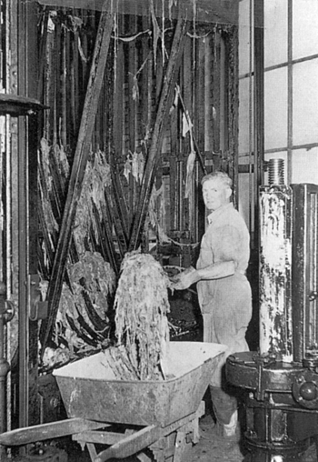 Straining well attendant clearing rags from straining cage into a wheelbarrow in North Straining House, Spotswood Pumping Station, circa 1954.