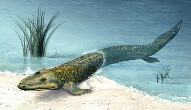 Illustration of a prehistoric animal