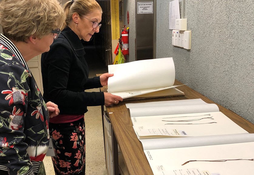 Professor Deirdre Coleman and Pina Milne with Lyell’s pressed orchid collection, National Herbarium of Victoria, 29 March 2019.