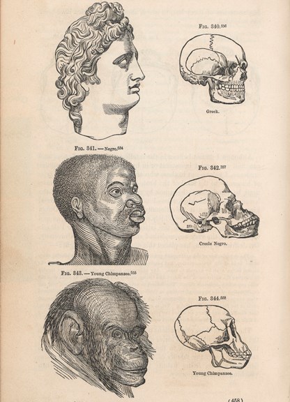 Illustration depicting heads and skulls