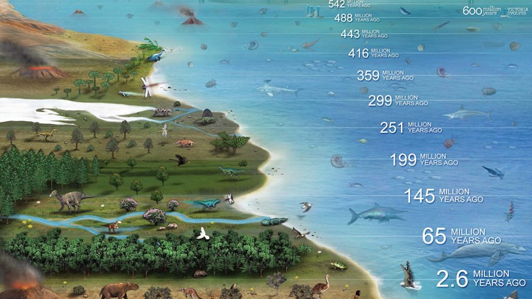 Illustration showing animals that lived from 635 million years–2.6 million years ago