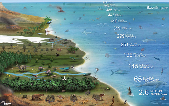 Illustration showing animals that lived from 635 million years–2.6 million years ago