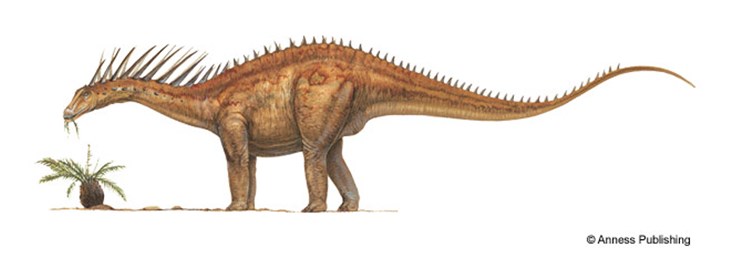 Illustration of a large dinosaur with spikes along it neck, back and tail