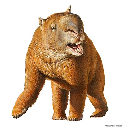 Illustration of a large wombat like animal
