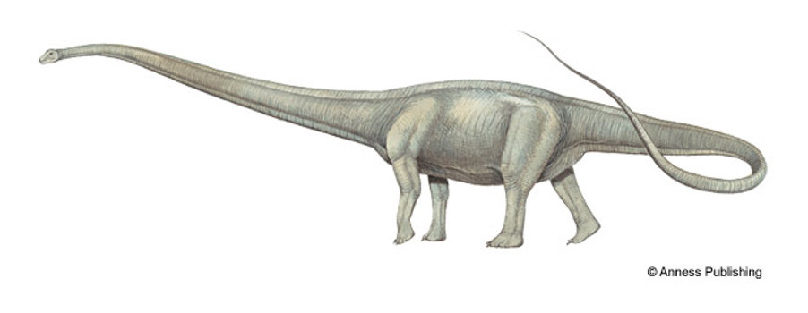 Illustration of a dinosaur