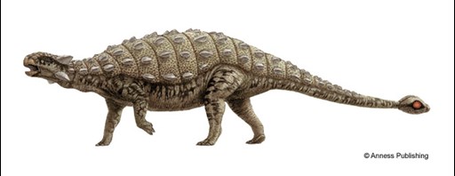 Illustration of a armoured dinosaur
