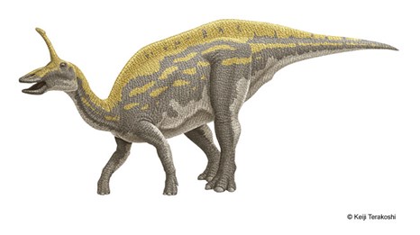 Illustration of a dinosaur with a horn
