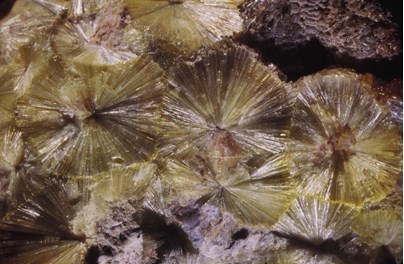 Circular yellow and purple mineral crystal