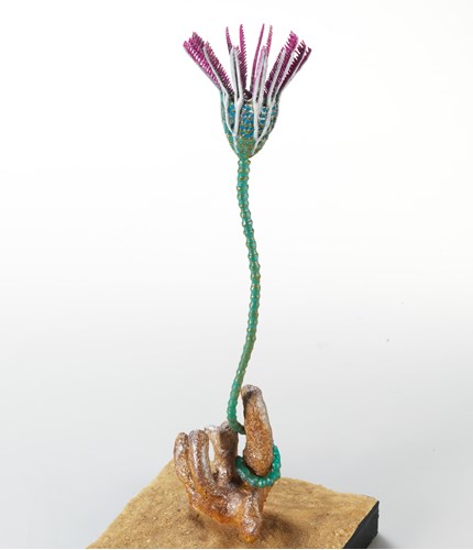 A model of a echinoderm which looks like a red and green flower with a long stem attached to a brown protrusion