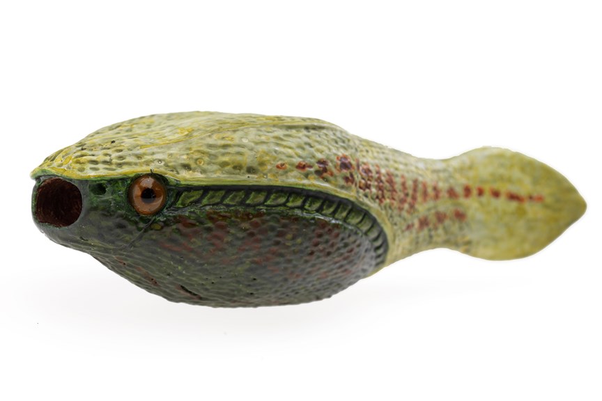Green model of a fish with a round mouth and eyes to the side