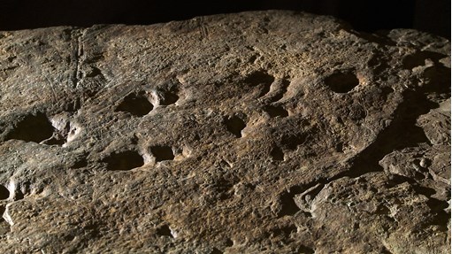 Fossil cast of an early tetrapod trackway