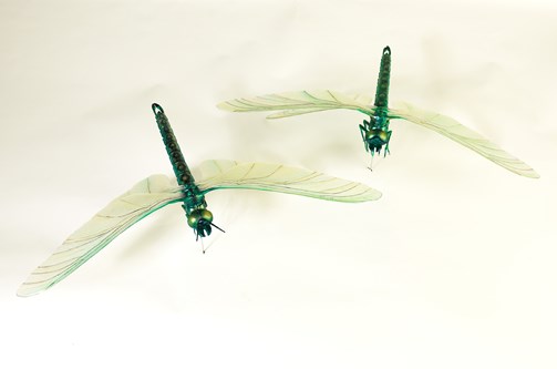 Model of Meganeura, a giant dragonfly from the Carboniferous period