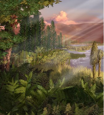 Illustration of a late Triassic plant community including dicroidium, cycads, lycopods, tree ferns, Araucaria, Cylomeia, ginkgophytes