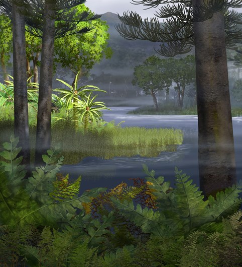 Illustration of a mid-Jurassic plant community including cycads, araucarians, Agathis, podocarps, benettitaleans, seed ferns, tree-ferns, horsetails and ground ferns