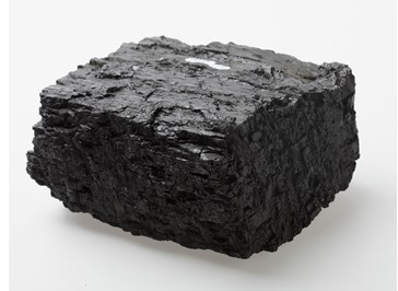 Black coal specimen