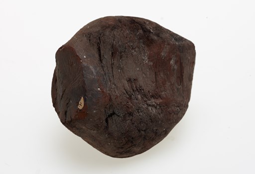 Brown coal specimen