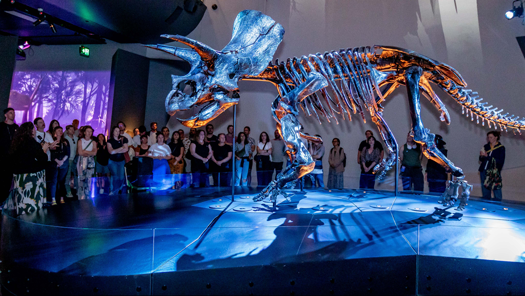 Adults listening to a talk about Horridus the triceratops while standing around the imposing 85% complete fossil.