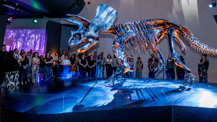 Adults listening to a talk about Horridus the triceratops while standing around the imposing 85% complete fossil.