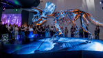 Museum After Dark | Force of Nature