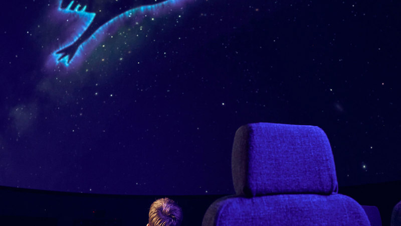 A secondary school student observes a projection of an emu shaped constellation on the dome of the Melbourne Planetarium during a school excursion 