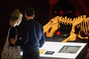 A couple read about dinosaurs in the Dinosaur Walk Exhibition.