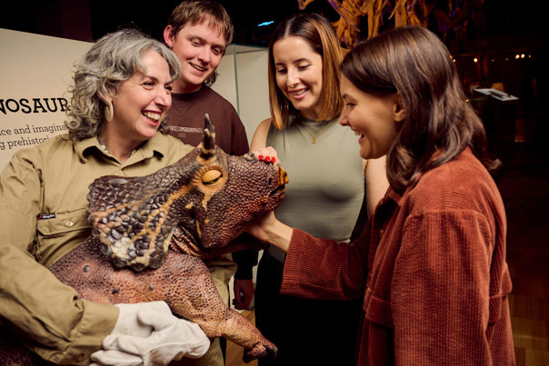 People meeting baby triceratops during Adult Museum Sleepovers at Melbourne Museum.