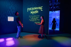 Two epople read about pheromones in Antopia exhibition.