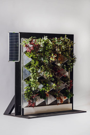 Vertical garden system with metal frame holding various plants in geometric pockets, featuring a solar panel mounted on the left side, displayed on a black stand.
