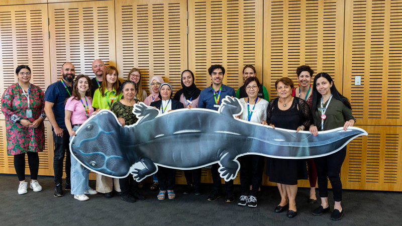  Museums Victoria Education Outreach team undertaking staff development and training with Bi-lingual librarians from Hume City Council, held at Craigieburn Library.