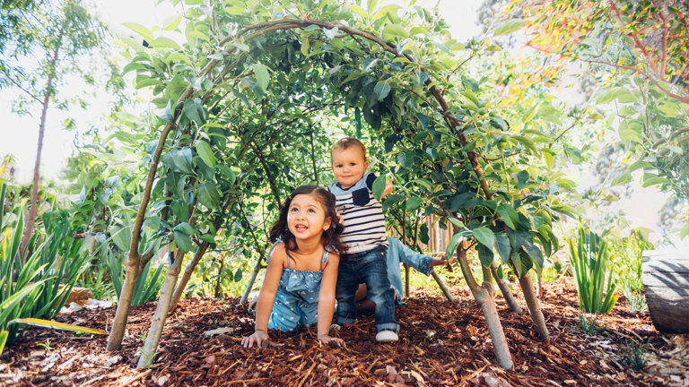 Two children crawl under an arch of woven branches in the Children's Gallery, Melbourne Museum.