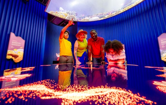 Adults and children using an interactive touch screens, with animal exhibit behind them.