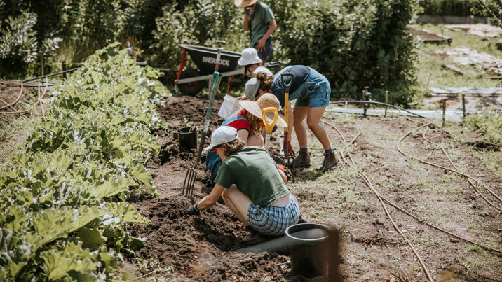 Volunteers working in the garden at CERES