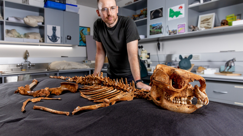 Victoria Research Project Museums Victoria Research Institute Gallery Visit | Education ...