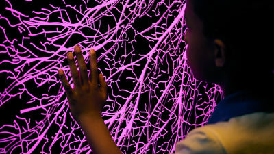 Close up of a young boy looking at a representation of a mycelium network.