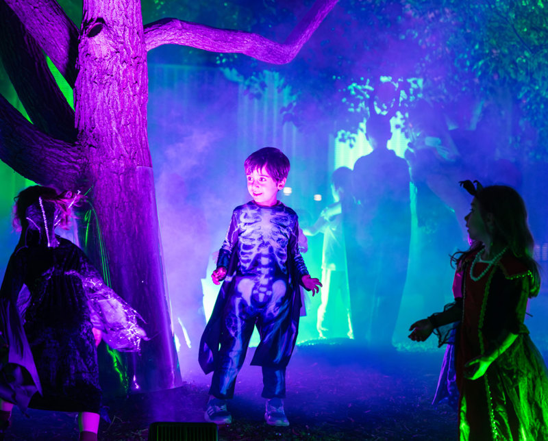 Halloween at the Museum: Family Event