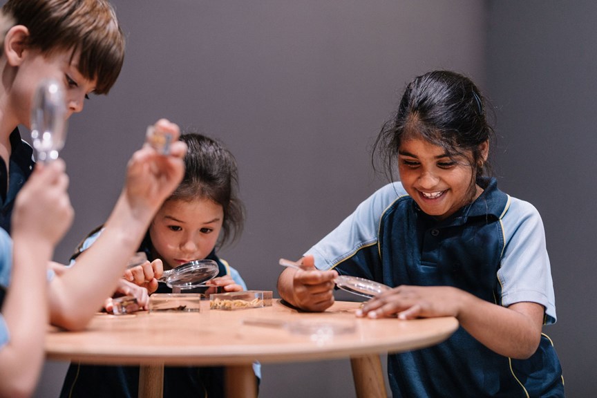 Four students around a small table, the students are really excited and curious as they look at insects through hand lens.