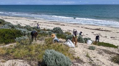 A beach along the Australian coas