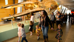 Tiny Tours: Whale to Tail