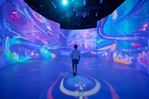 A child leading ants through antopia exhibition.