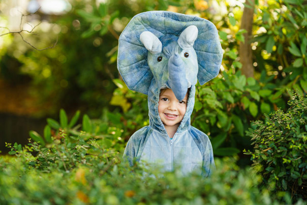 Child standing in a garden dressed in a Triceratops onesie