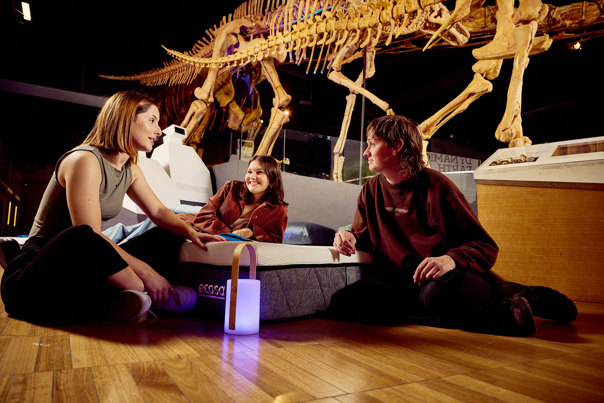 Three people gather around an Ecosa mattress on the floor below the dinosaurs of Dinosaur Walk exhibition in Melbourne Museum.