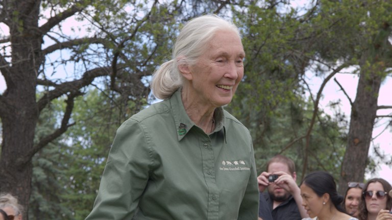 Dr Jane Goodall surrounded by a group of people outside. There trees in the background