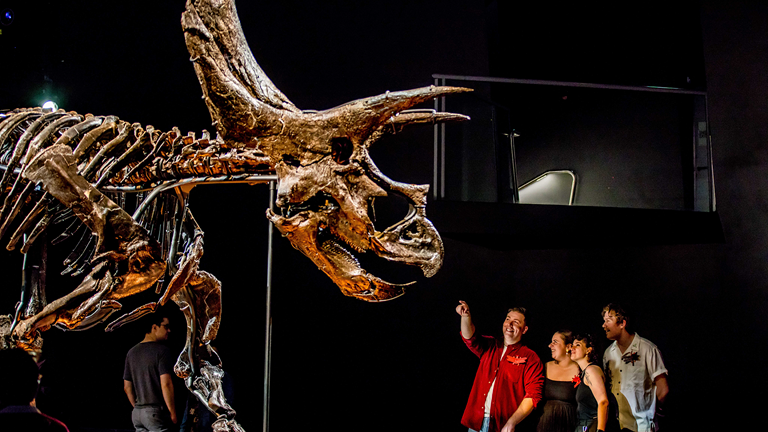 People point up in wonder at the skeleton of Horridus, the triceratops.