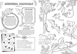 A page titled 'Arboreal Mammals' consists of 9 illustrations of mammals. A subsection titled 'Greater and Fluffier' explains how the Greater Glider can glide for over 100 metres despite being very fluffy. A second section titled 'Flying With Friends' explains how Grey-headed Flying-fox bats hang out upside down in groups (called 'roosts') that can have as many as 100,000 bats. A third section titled 'Fast and Fur-ious' explains how Brush tailed Phascolgale's fast and rigorous mating is fatal.